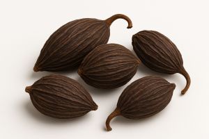 black cardamom