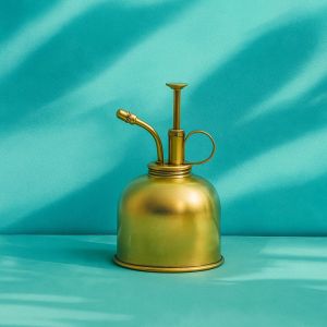 Ayesha Handicrafts Iron Brass Plant Mister Spray Bottle