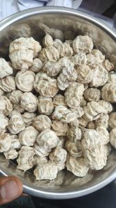 Dried Kachri, Packaging Size : 20Kg, Packaging Type : Plastic Bag
