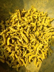 Finger Turmeric, Packaging Type : Deep golden-yellow