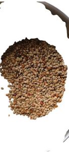 Natural Horse Gram, Color : Brown for Soups, Salads
