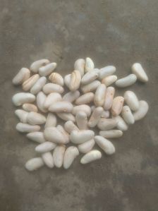 Vegetable Seeds