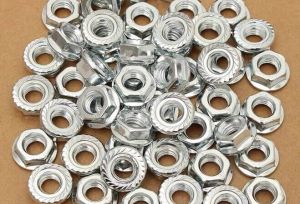 Flange Nuts