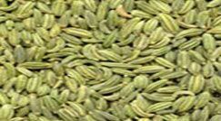 Fennel Seeds, Color : Greenish-brown for Cooking, Baking, Etc