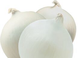 White Onion