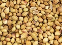 Coriander Seed