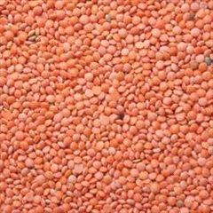 Red Masoor Dal for Cooking