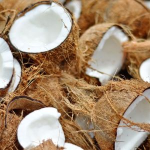 Frozen Coconut Cream