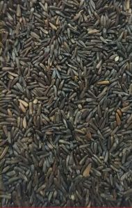 232 Niger Seed, Color : Black