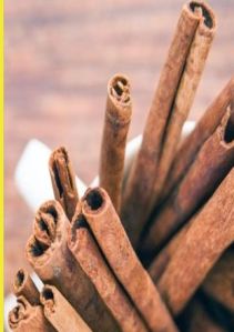 Akash Cinnamon, Color : Brown for Cooking, Traditional Medicine
