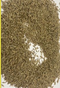 Akash Cumin Seeds