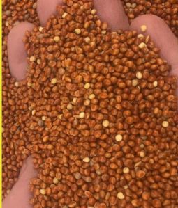 Akash Red Millet, Color : Reddish-brown for Used To Make Porridge