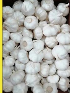 Fresh Garlic, Color : White for Culinary Ingredient