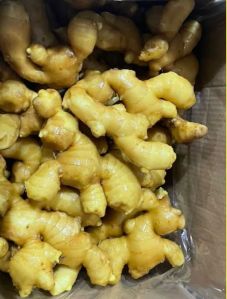 Fresh Ginger, Color : Brown for Culinary Ingredient