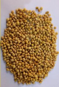 Mamaearth Mama & Baba Soya Beans, Color : Varies