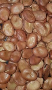 Mama & Baba Broad Beans Large for Soups, Stews, Curries