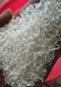 Delicate MR. India Swarna White Rice