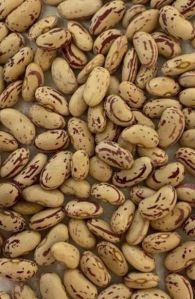 Samad Light Speckled Kidney Beans