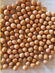 Samad Russia Chickpeas