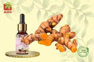 Turmeric Root Oil