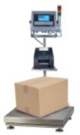 Shipper Weighing Scale for Packing, Labeling