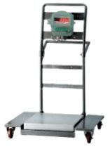 Trolley Weighing Scale