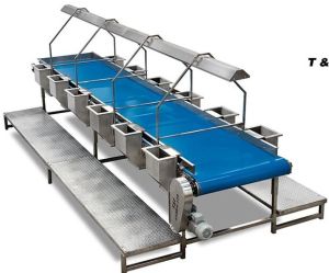 Inspection - Conveyor