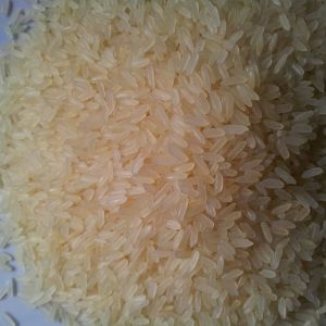IR-64 &AMP;AMP; IR-36 Parboiled Rice