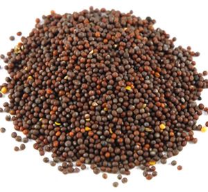 mustard seed