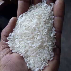 Swarna Mansoori Rice ( White / Raw )