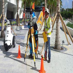 Survey Mapping Service