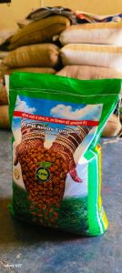 Jaki-9218 Gram Seeds