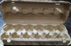 Paper Egg Box