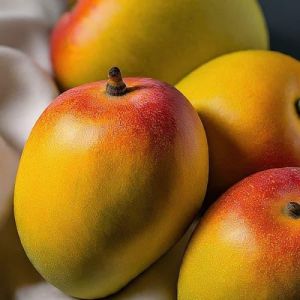 Alphonso Mango