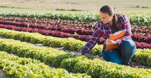 Agri Consumables Supply Services