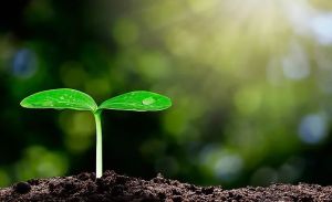 Agro Farming Finance Services