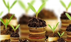 Agro Financial Management Advisory Services