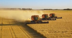 Agro Logistics Services