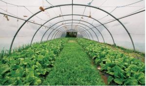 Farm Infrastructure Development Services