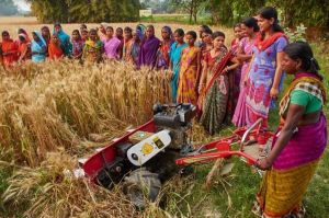 Farm Management Service