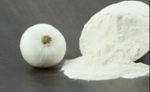 Dehydrated White Onion Powder, Packaging Type : Sealed Bag