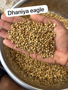 Green Natural Nikunj Coriander Seeds 12%