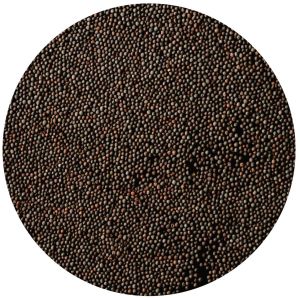 Black Mustard Seeds