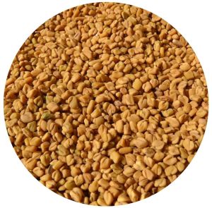 fenugreek seeds