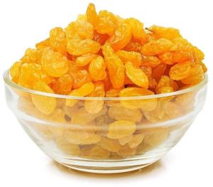 Golden Raisins