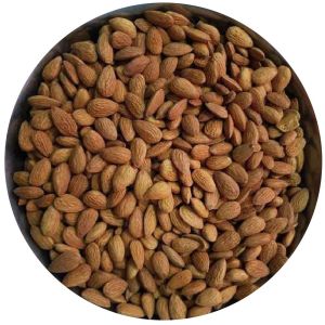 Regular Almond Nuts