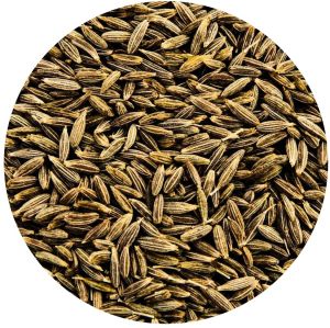 Shahi Cumin Seeds