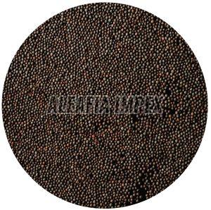 Organic Black Mustard Seeds Raw, Grade Standard : Food Grade