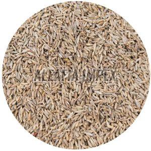 Brown Cumin Seeds, Purity : 100% for Cooking