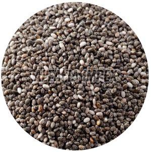 Organic Chia Seeds, Color : Black Raw, Grade Standard : Food Grade